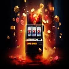 333 bet app
